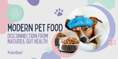 The Surprising Consequences of Processed Pet Food