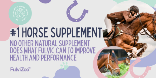 The Number 1 Natural Health Supplement for Horses: Fulvic Acid